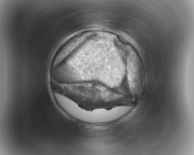 X0000088061239200706081643
