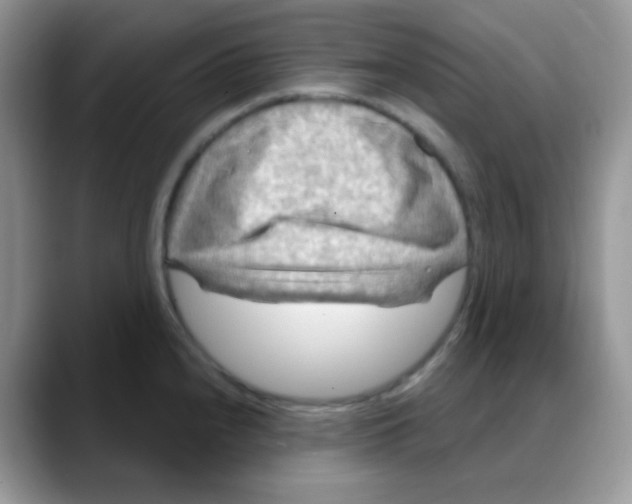 X0000088061240200706081643