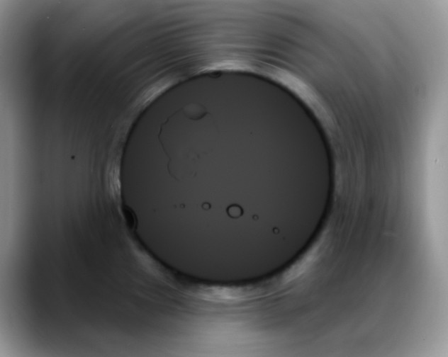 X0000088061241200706081643