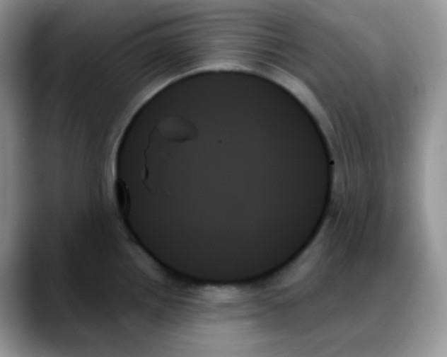 X0000088061242200706081643