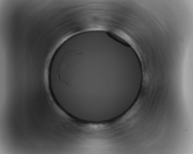 X0000088061243200706081643