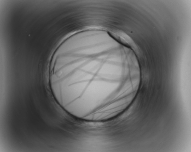 X0000088061244200706081643