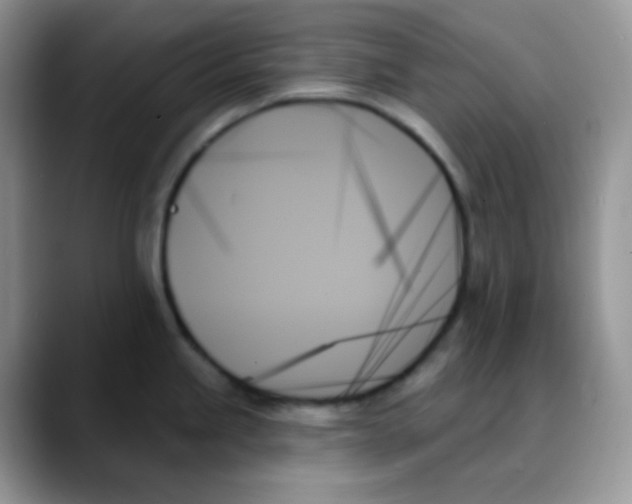 X0000088061245200706081643