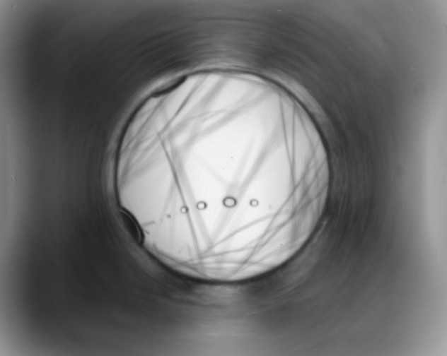 X0000088061246200706081643