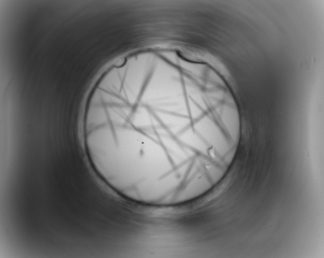 X0000088061247200706081643