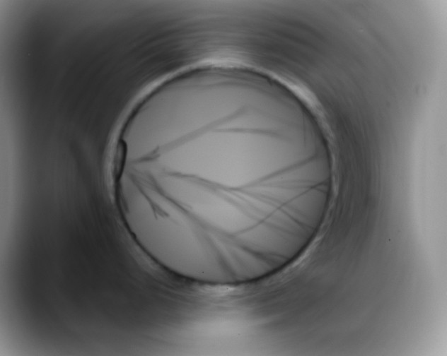 X0000088061248200706081643