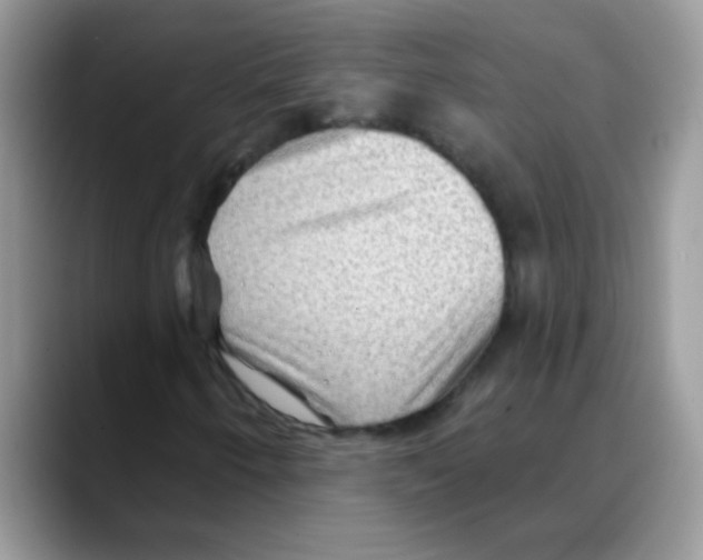 X0000088061250200706081642