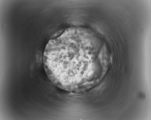 X0000088061251200706081642