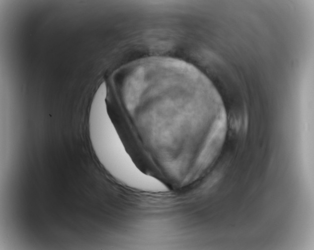 X0000088061252200706081642