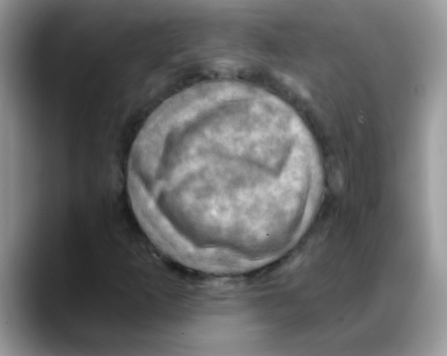 X0000088061253200706081642