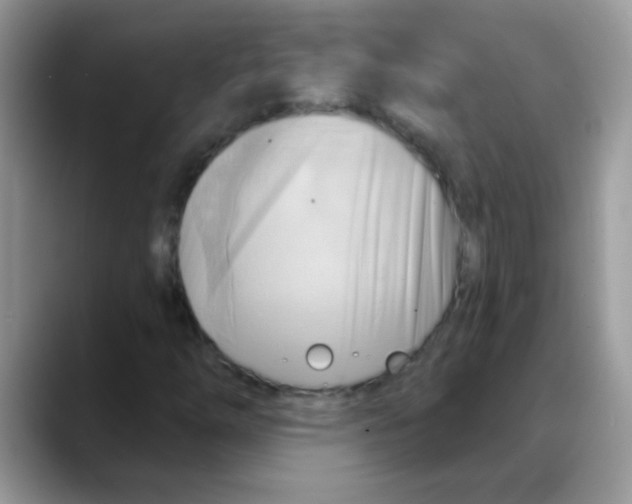 X0000088061254200706081642