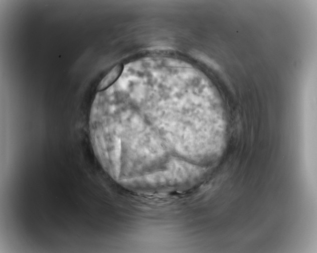 X0000088061255200706081642