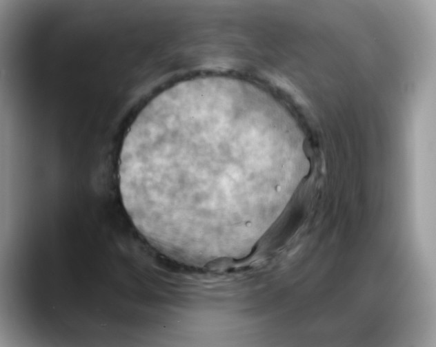 X0000088061256200706081642