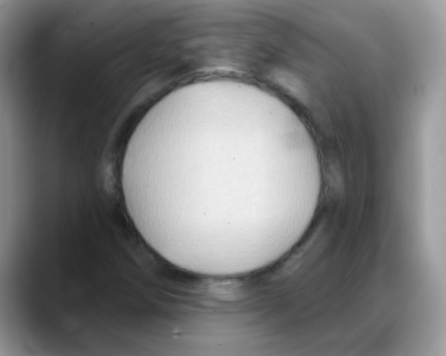 X0000088061258200706081642