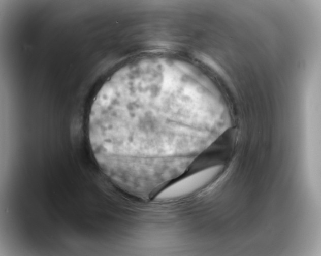 X0000088061259200706081642