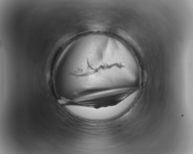 X0000088061261200706081642