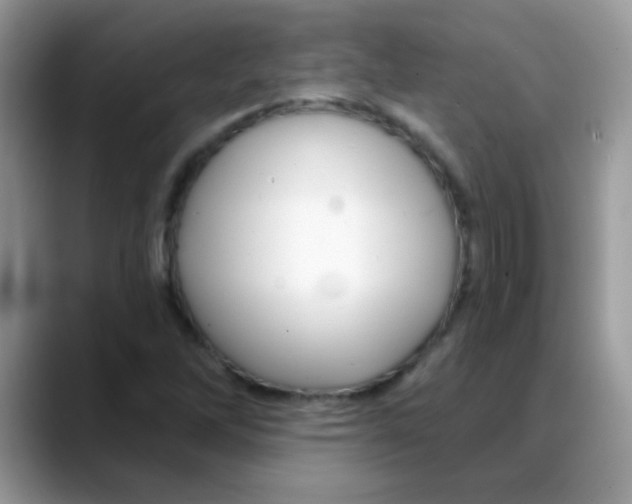 X0000088061262200706081642