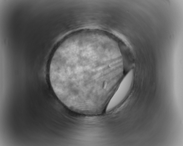 X0000088061264200706081642