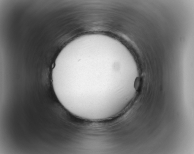 X0000088061265200706081642