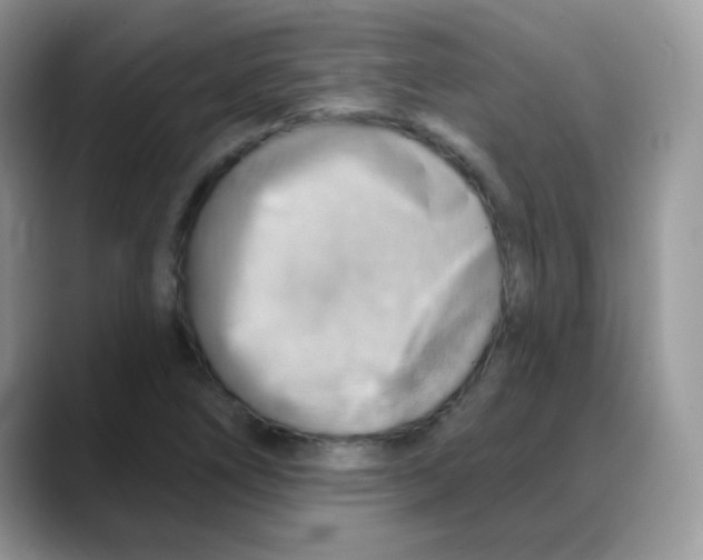 X0000088061266200706081642
