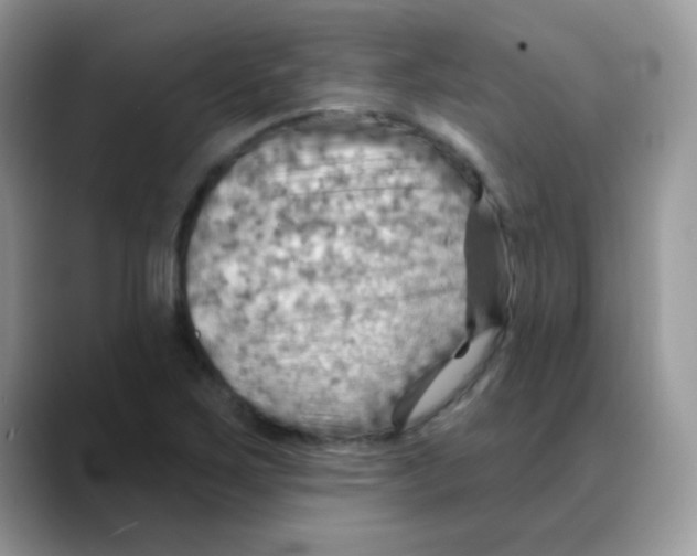 X0000088061267200706081642