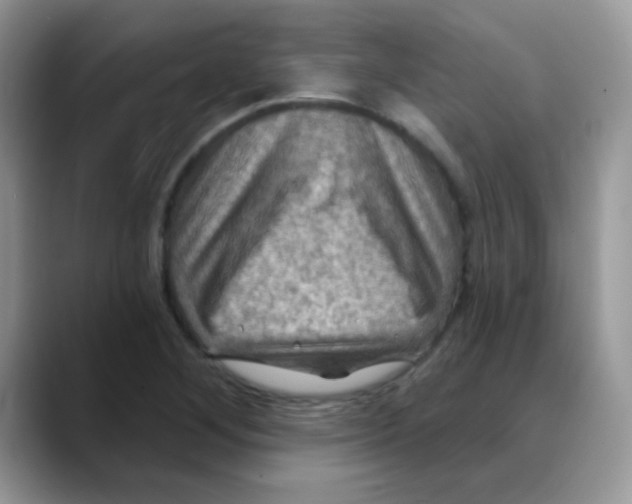 X0000088061268200706081642
