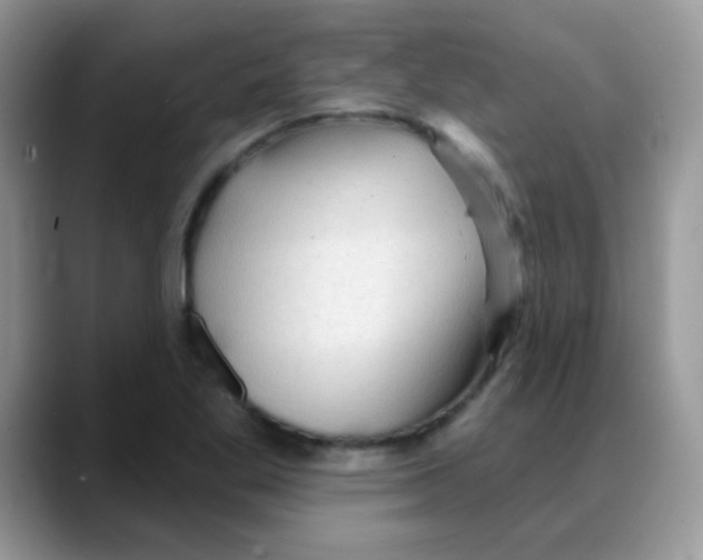 X0000088061269200706081642