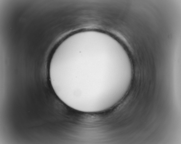 X0000088061270200706081642