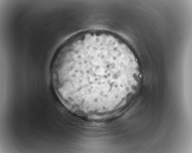 X0000088061271200706081642