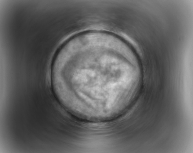 X0000088061272200706081642