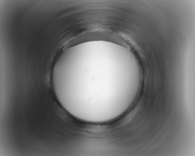 X0000088061273200706081642