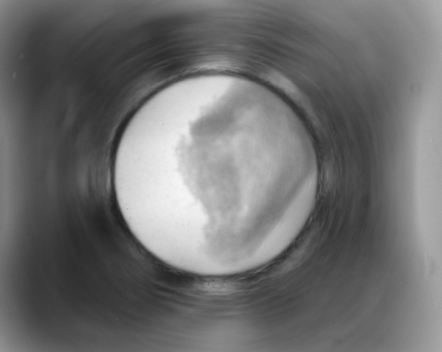 X0000088061274200706081642