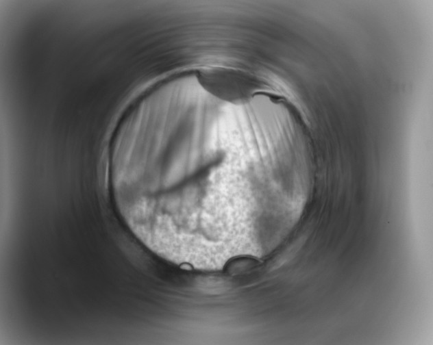 X0000088061275200706081642