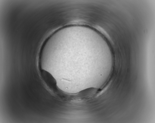 X0000088061277200706081642