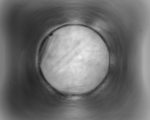 X0000088061278200706081642