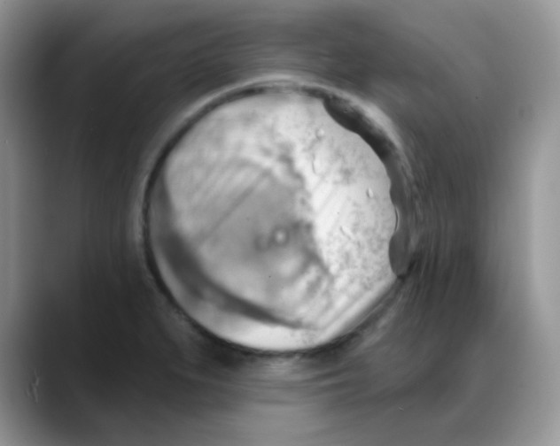 X0000088061279200706081642