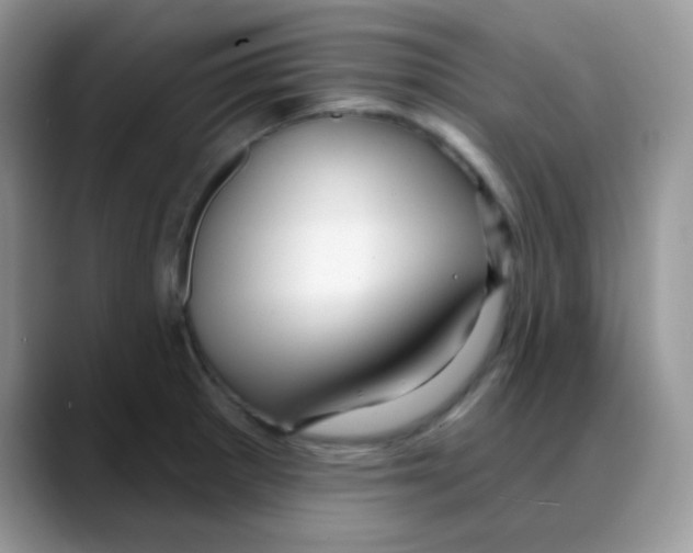 X0000088061281200706081642
