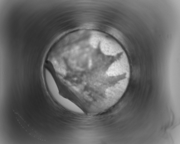 X0000088061283200706081642