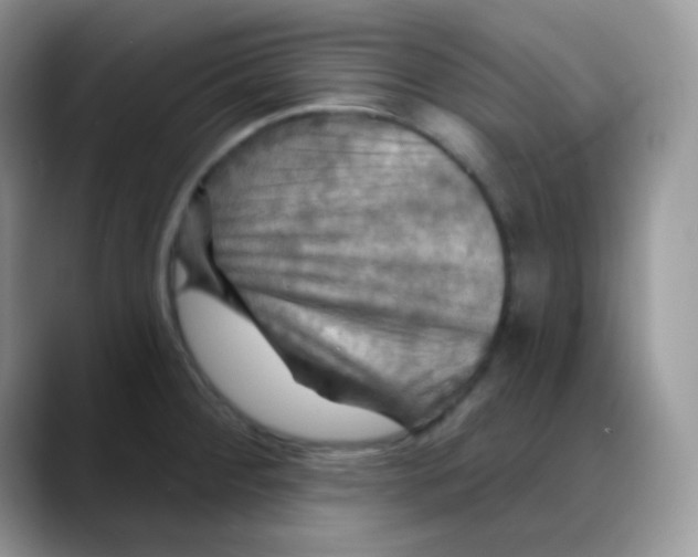 X0000088061284200706081642