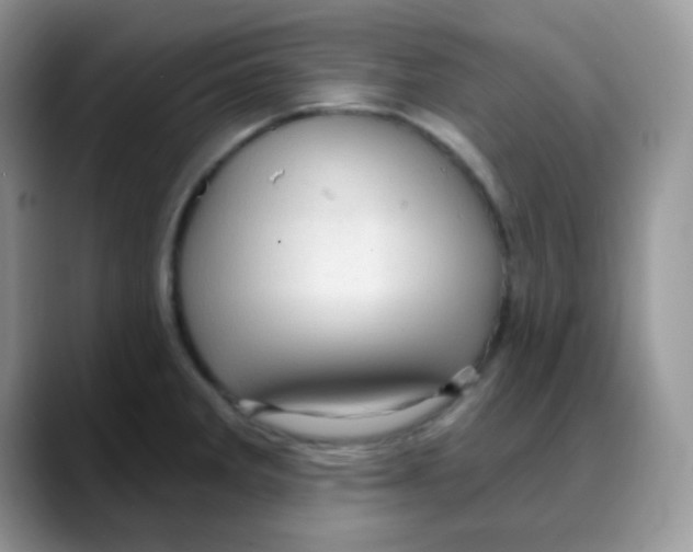 X0000088061285200706081642