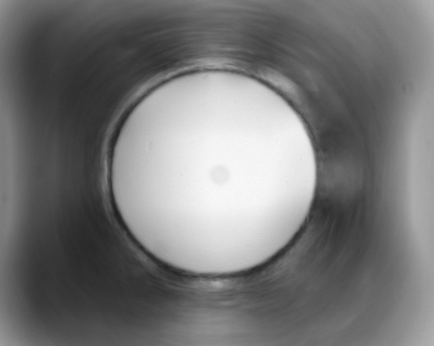 X0000088061286200706081642