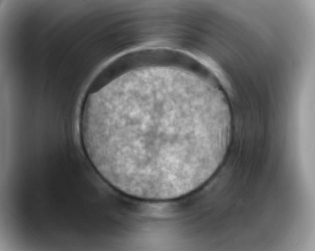 X0000088061288200706081642