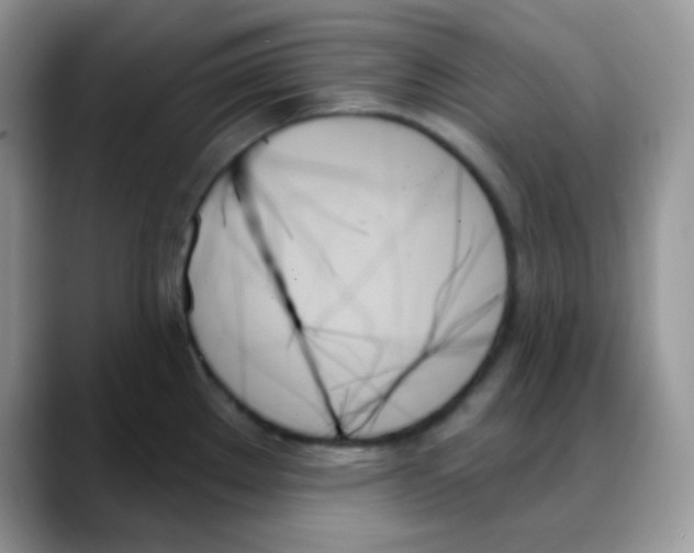 X0000088061289200706081642