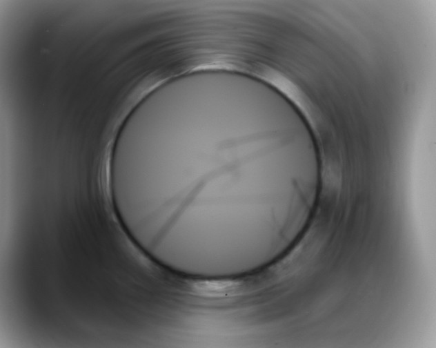 X0000088061290200706081642