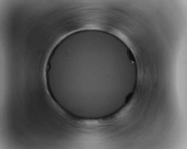 X0000088061291200706081642