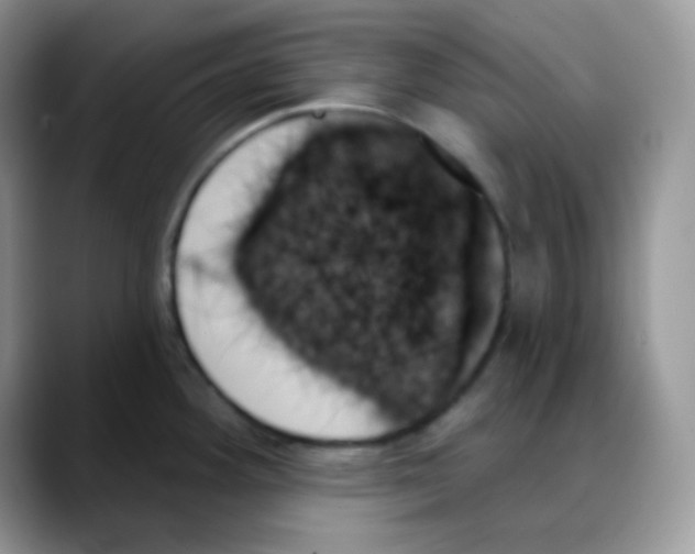 X0000088061292200706081642