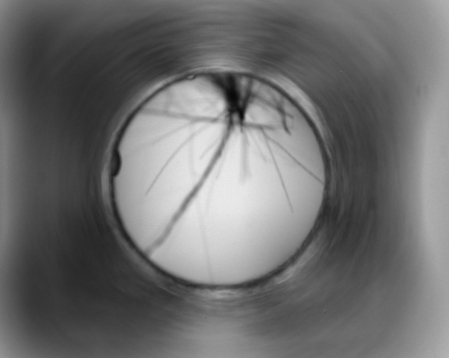 X0000088061293200706081642