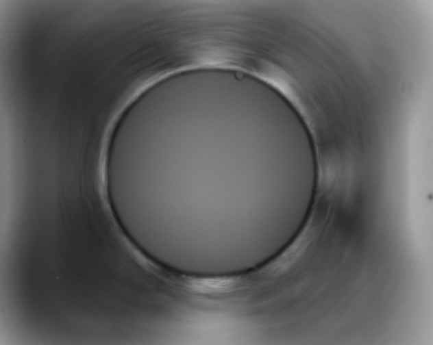X0000088061294200706081642