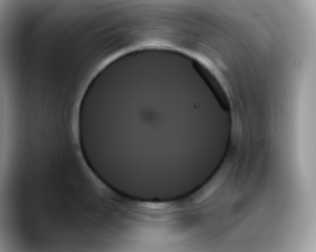X0000088061295200706081642