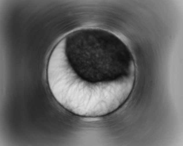 X0000088061296200706081642